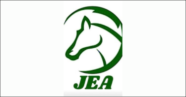 JEA自動売買FXゴールドEA